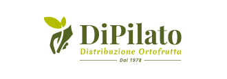 logo dipilato
